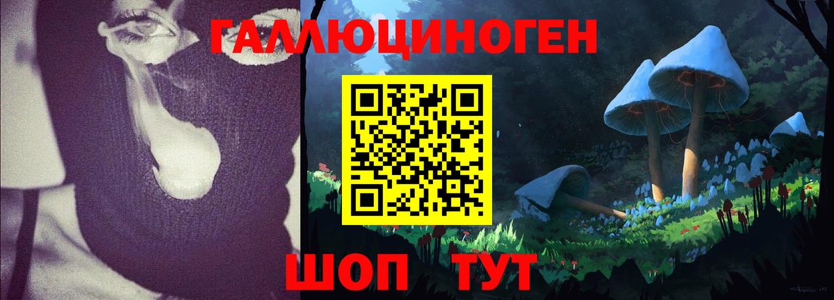 Псилоцибиновые грибы GOLDEN TEACHER Сатка